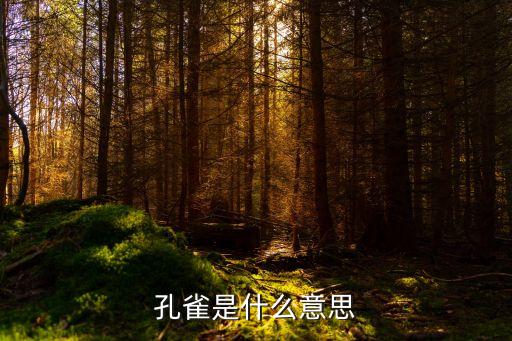 孔雀，孔雀有哪些种类