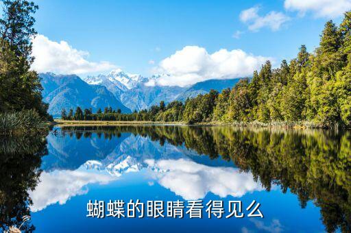 蝴蝶的眼睛，蝴蝶有多少只眼睛