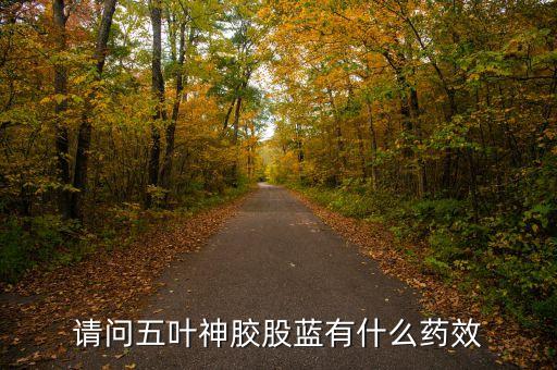 五叶绞股蓝，五叶绞股蓝的功效