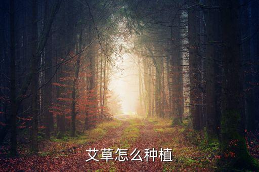 艾草种植，艾草的种植与养殖方法 艾草怎么养护