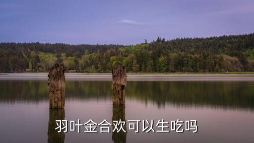 羽叶金合欢，请问植物拉丁文ACACIA PENNATULA的中文名字是