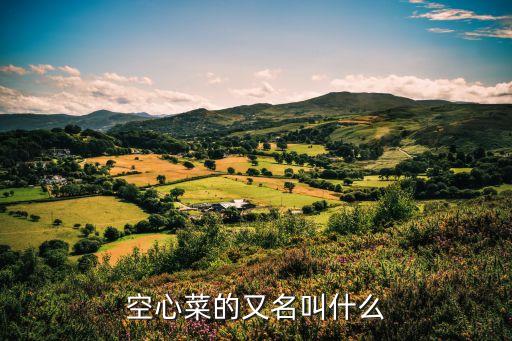 空心菜的又名叫什么