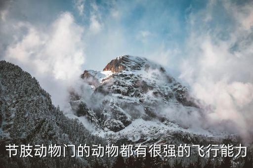 什么是节肢动物，节肢动物的分类特征简洁