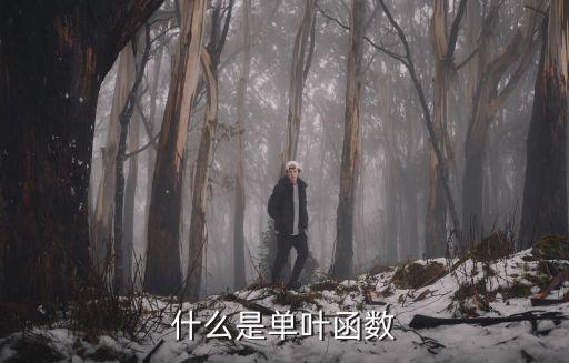 什么是单叶函数