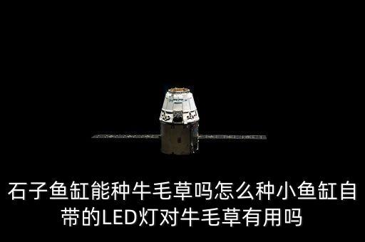 牛毛草，牛毛草如何固定在底砂上