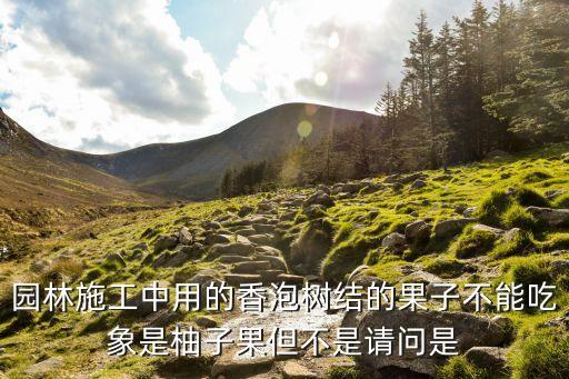 香泡树，香泡树是雌雄同体植物吗