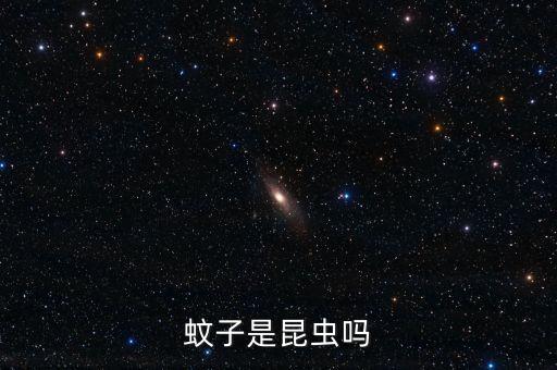 蚊子是昆虫吗