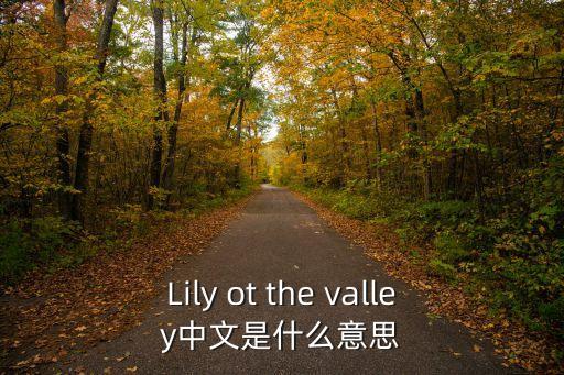 Lily ot the valley中文是什么意思