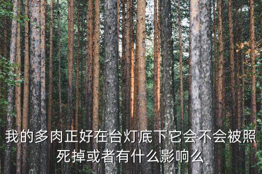 多肉死亡照片，这个多肉怎么回事啊是不是死了底下部分都烂掉了另一个小的