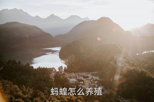 蚂蝗怎么养殖