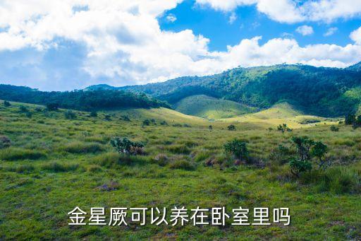 金星蕨，金线蕨该怎么养