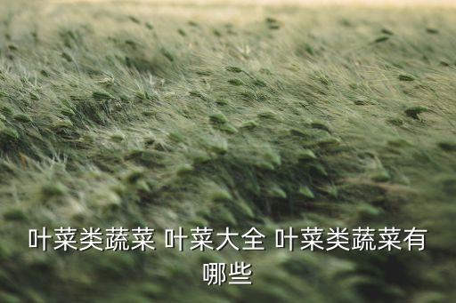 叶菜类蔬菜，吃叶子的蔬菜有哪些