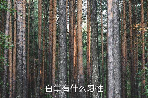 白隼有什么习性