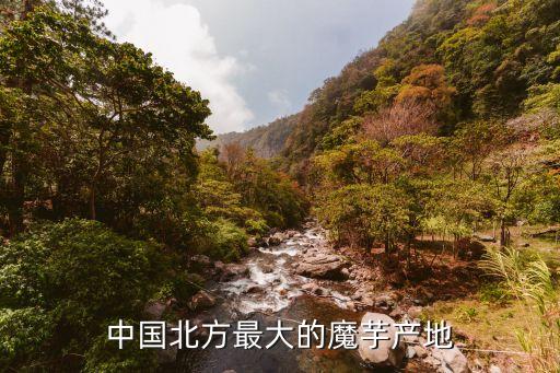 中国北方最大的魔芋产地