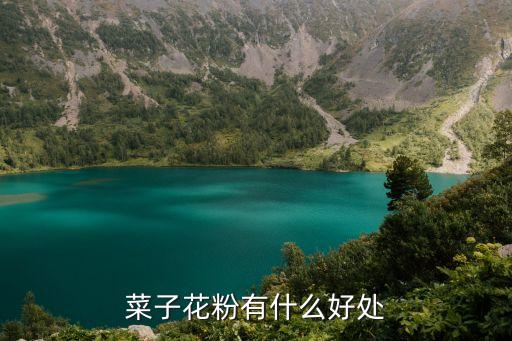 菜子花粉有什么好处
