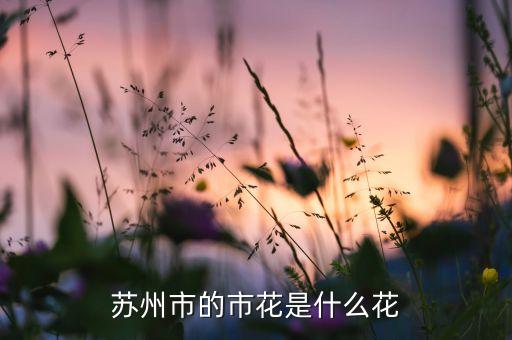 苏州市的市花是什么花