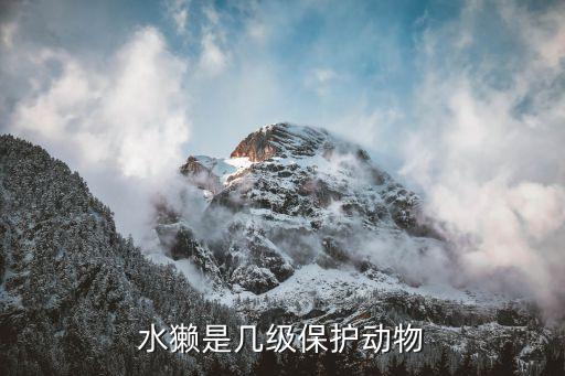 水獭是保护动物吗，水獭是国家二级保护动物吗 如题 谢谢了
