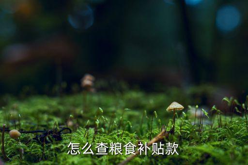 怎么查粮食补贴款