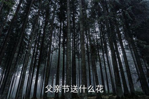 父亲节送什么花，父亲节送什么花好