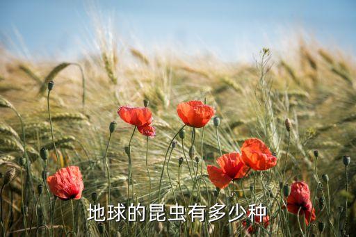 昆虫大全，昆虫都有哪些写出来名字