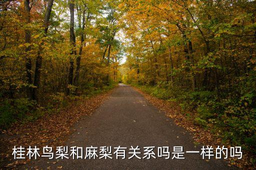 鸟梨，桂林鸟梨和麻梨有关系吗是一样的吗