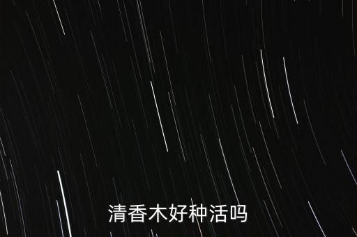 清香木好种活吗