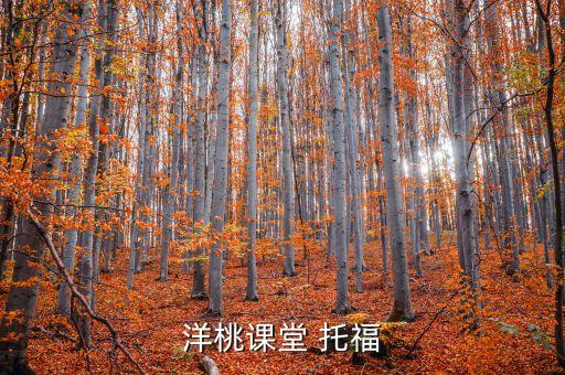 洋桃课堂 托福