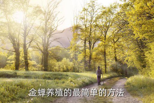 金蝉养殖技术方法，怎么养殖金蝉