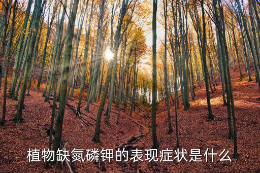 植物缺氮磷钾的表现症状是什么