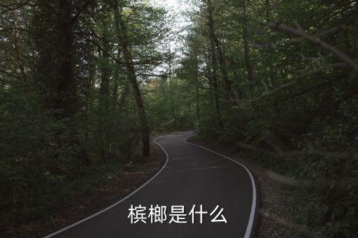槟榔是什么