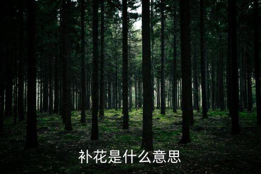 补花，qq麻将中补花是什么意思