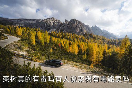 栾树真的有毒吗有人说栾树有毒能卖吗