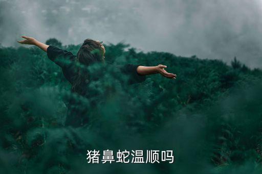 猪鼻蛇温顺吗
