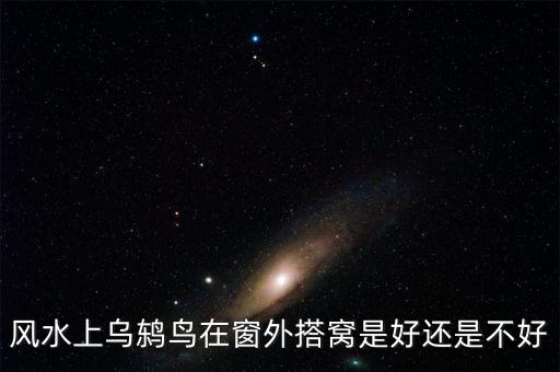 乌鸫是吉祥鸟吗，乌鸫是好鸟还是坏鸟