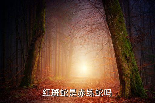 红斑蛇，家里出现了红斑蛇怎么赶走