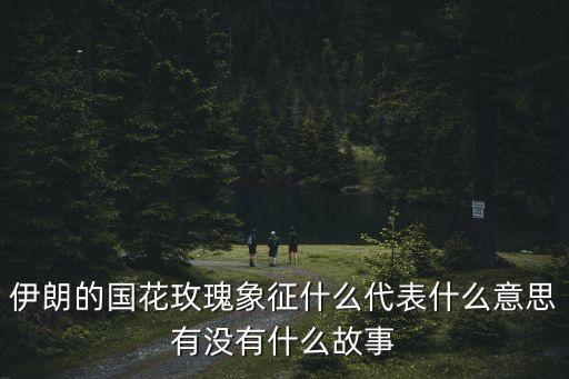 艾莎玫瑰，在花娃花材直供的玫瑰花可以满足日常花店的需求吗