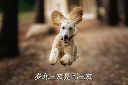 岁寒三友是哪三友，岁寒三友是哪三友