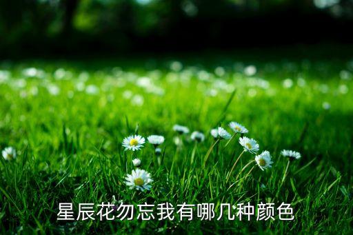 星辰花勿忘我有哪几种颜色