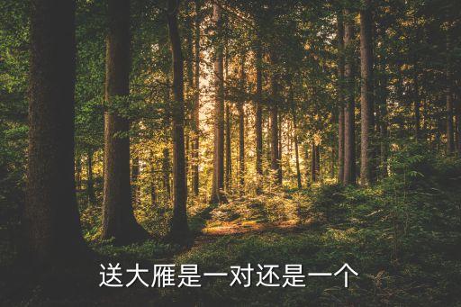 送大雁是一对还是一个