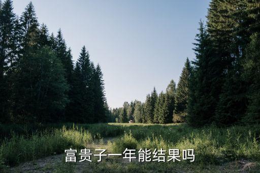 富贵子一年能结果吗