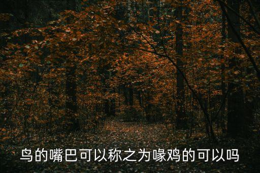 鸟的嘴叫喙，鸟的嘴叫什么