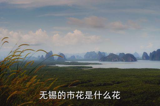 无锡的市花是什么花