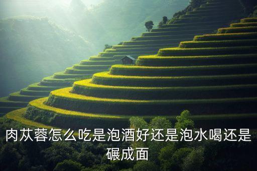 肉苁蓉怎么吃是泡酒好还是泡水喝还是碾成面