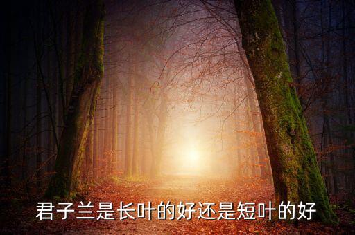 短叶君子兰，短叶君子兰有毒吗