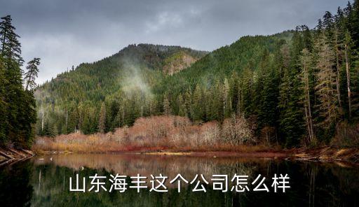 海丰农业发展怎么样，山东海丰这个公司怎么样