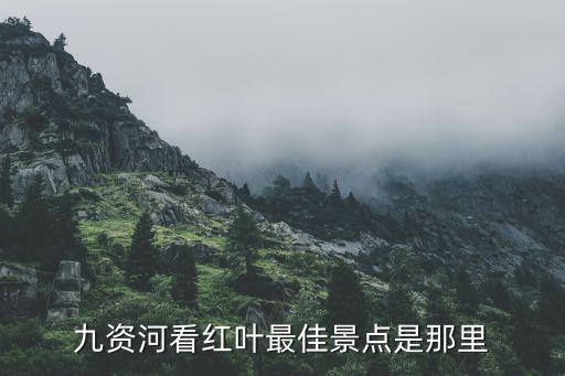 九资河，九资河修路吗