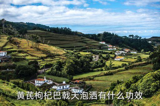 黄芪枸杞巴戟天泡洒有什么功效