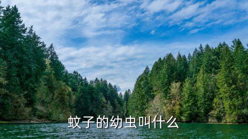 蚊子的幼虫叫什么