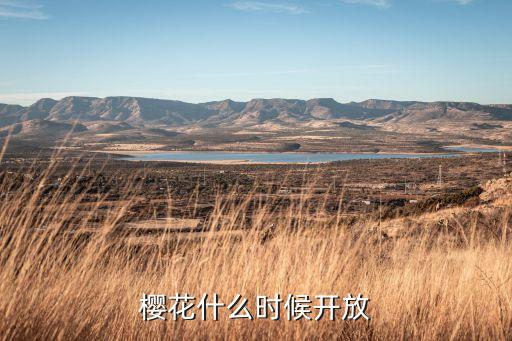 樱花什么时候开放