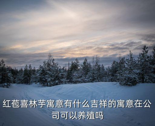 红苞喜林芋寓意有什么吉祥的寓意在公司可以养殖吗